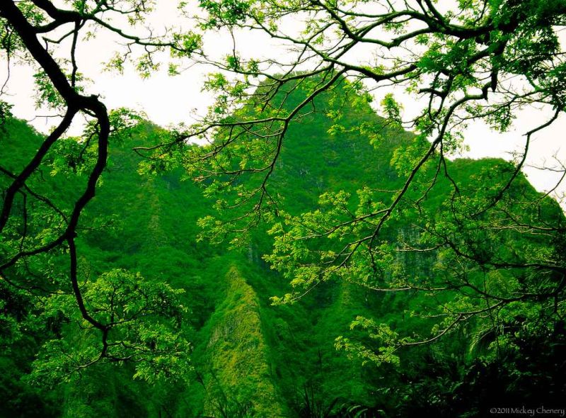 green is god.jpg
